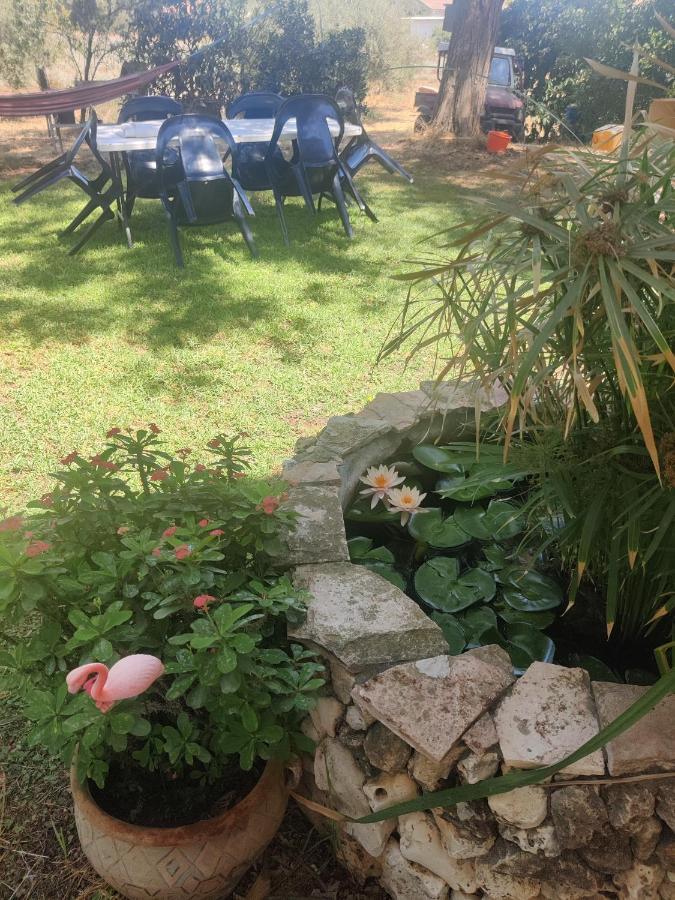شقة Shadmot Devora  في Chez Rothman Sublet المظهر الخارجي الصورة